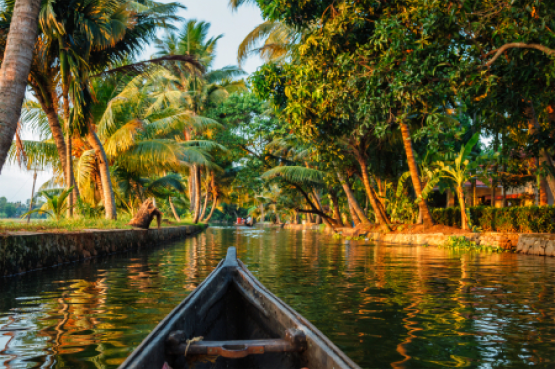 kerala-backwaters-canoeing-2021-08-26-22-58-44-utc